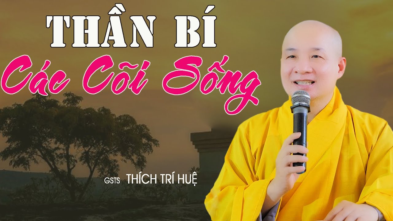 Thần Bí CÁC CÕI Trong TRỜI ĐẤT - Cực kỳ hay. Chùa Pháp Tạng Thích Trí Huệ