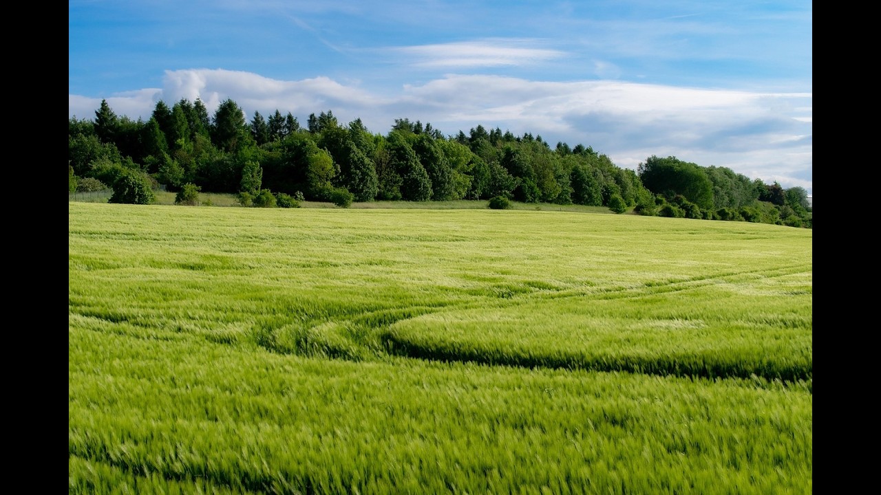 Dottori Agronomi e Forestali - da agrimensori a ingegneri agrari