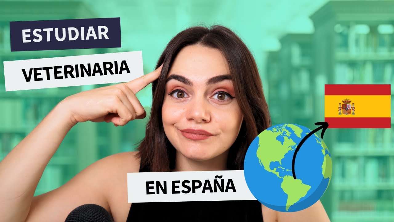Estudiar veterinaria en España como extranjero