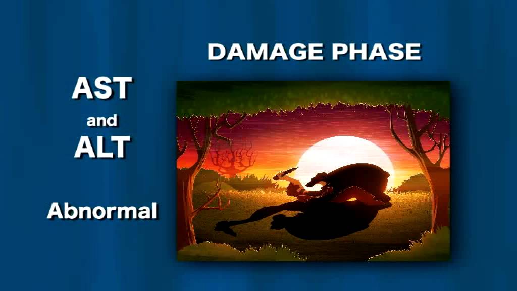 Understanding Hepatitis B PART 2 Interpreting Test Results
