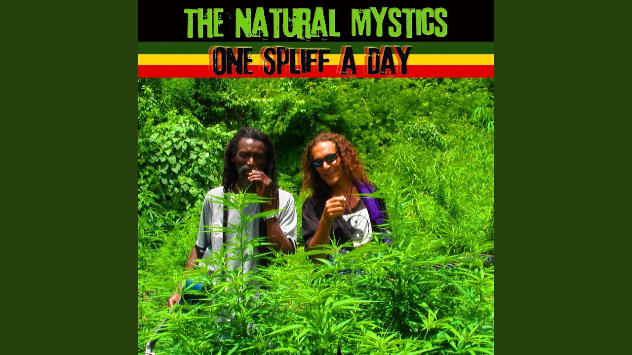 One Spliff a Day