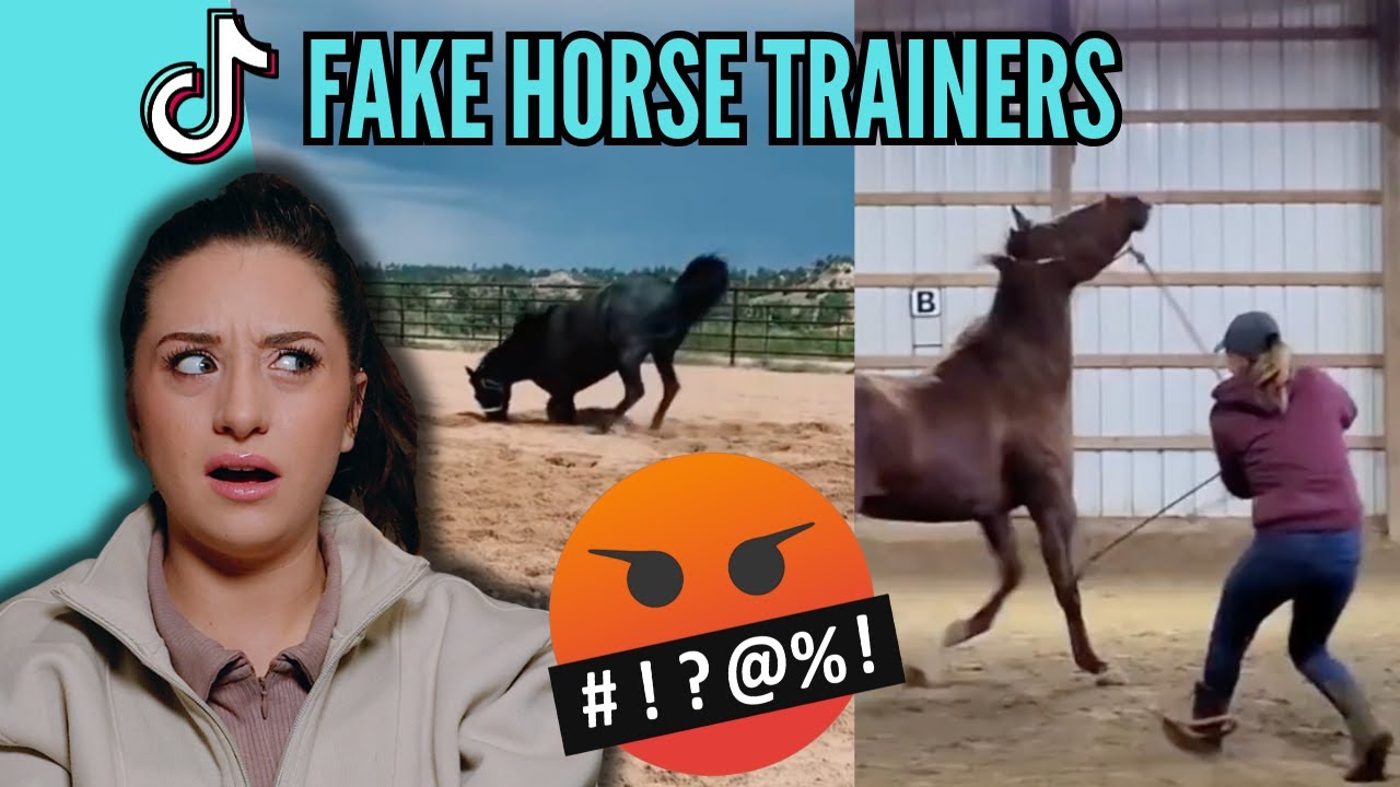 TIKTOK EQUESTRIANS MAKE ME CRINGE