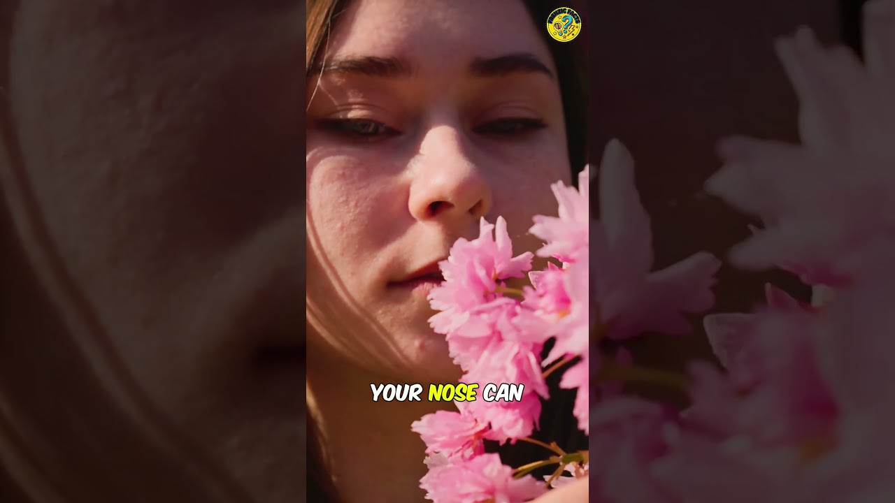 Удивительные факты о человеческом теле 