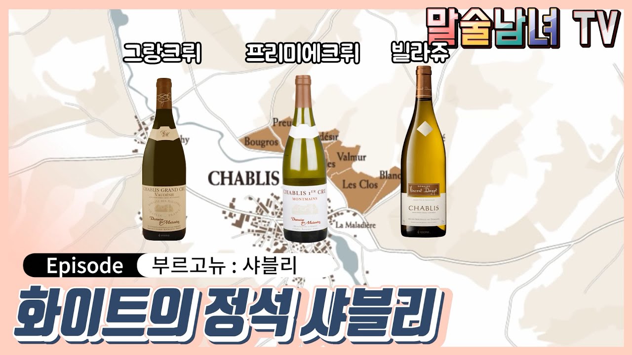 [말술남녀]샤블리 와인 3종 시음