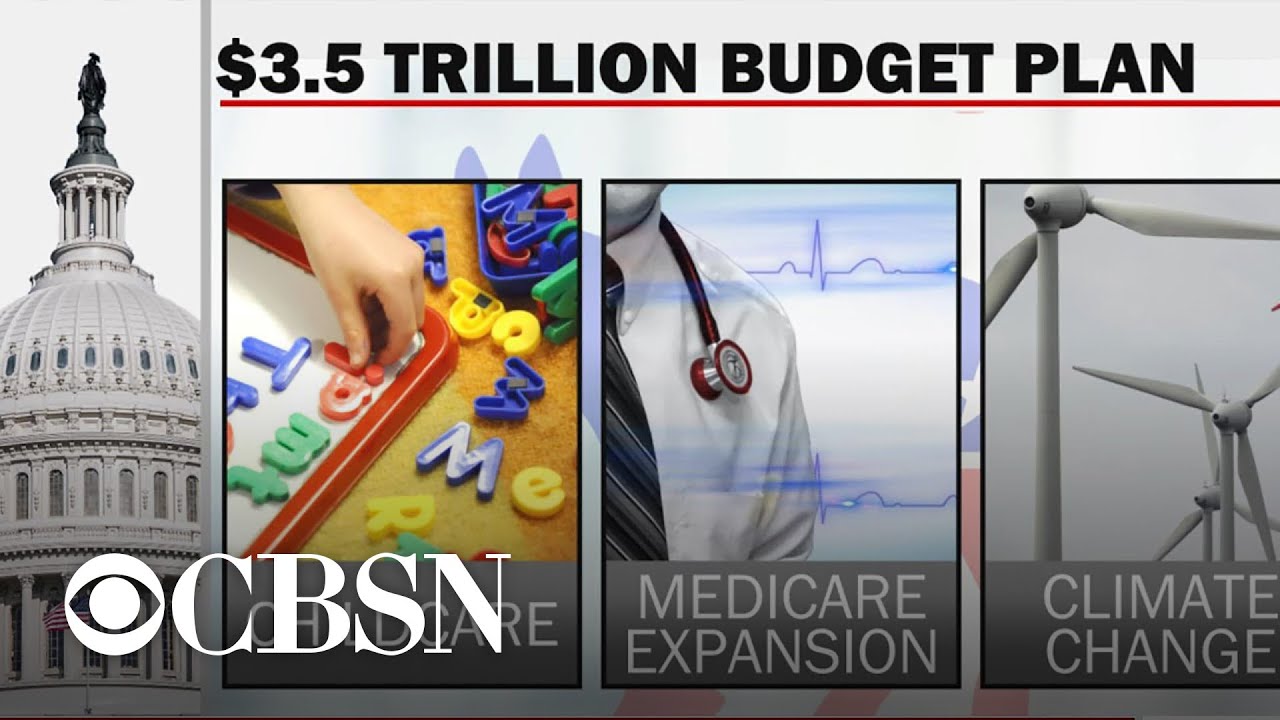 Why 9 Democrats threatened to kill their party's budget bill