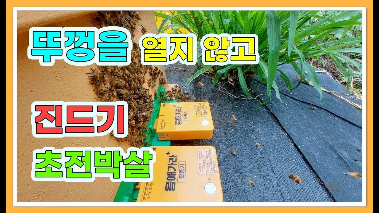 무더운 여름 손쉽게 진드기 방제를 할수 있어요/ 봉판속 진드기가 죽는다고