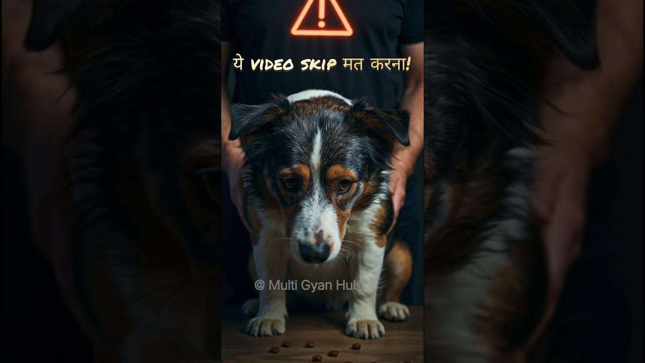 “Dog Lovers ❤️ ये गलती मत करना… ⚠️वरना पछताना पड़ेगा 😢🐶”