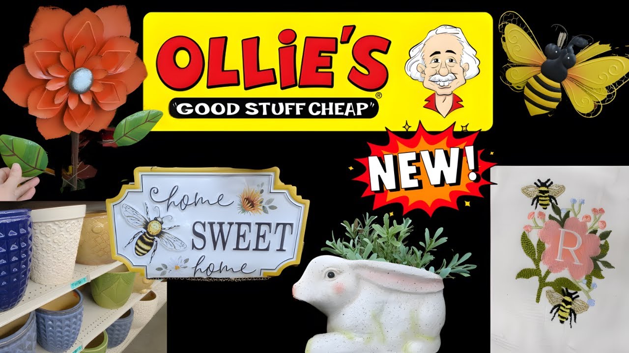 Видеообзор нового магазина Ollie's Bargain Outlet — 24 января 2026 года