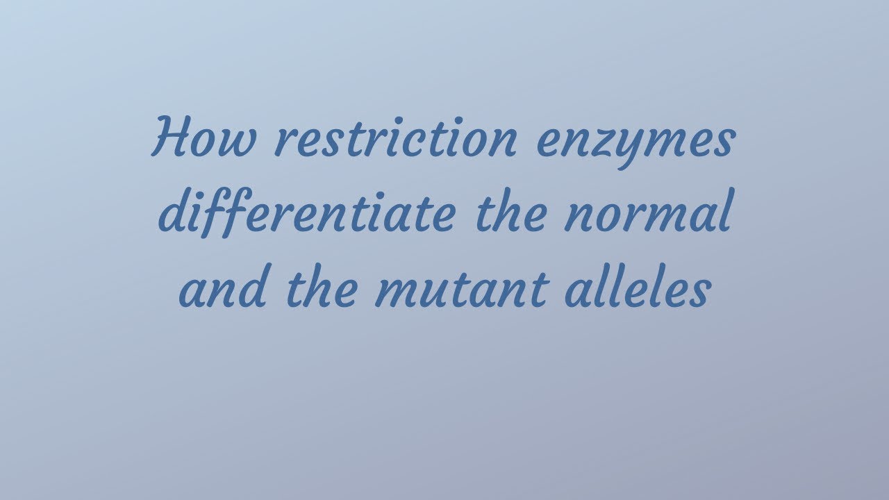 How restriction enzymes differentiate normal and mutant alleles