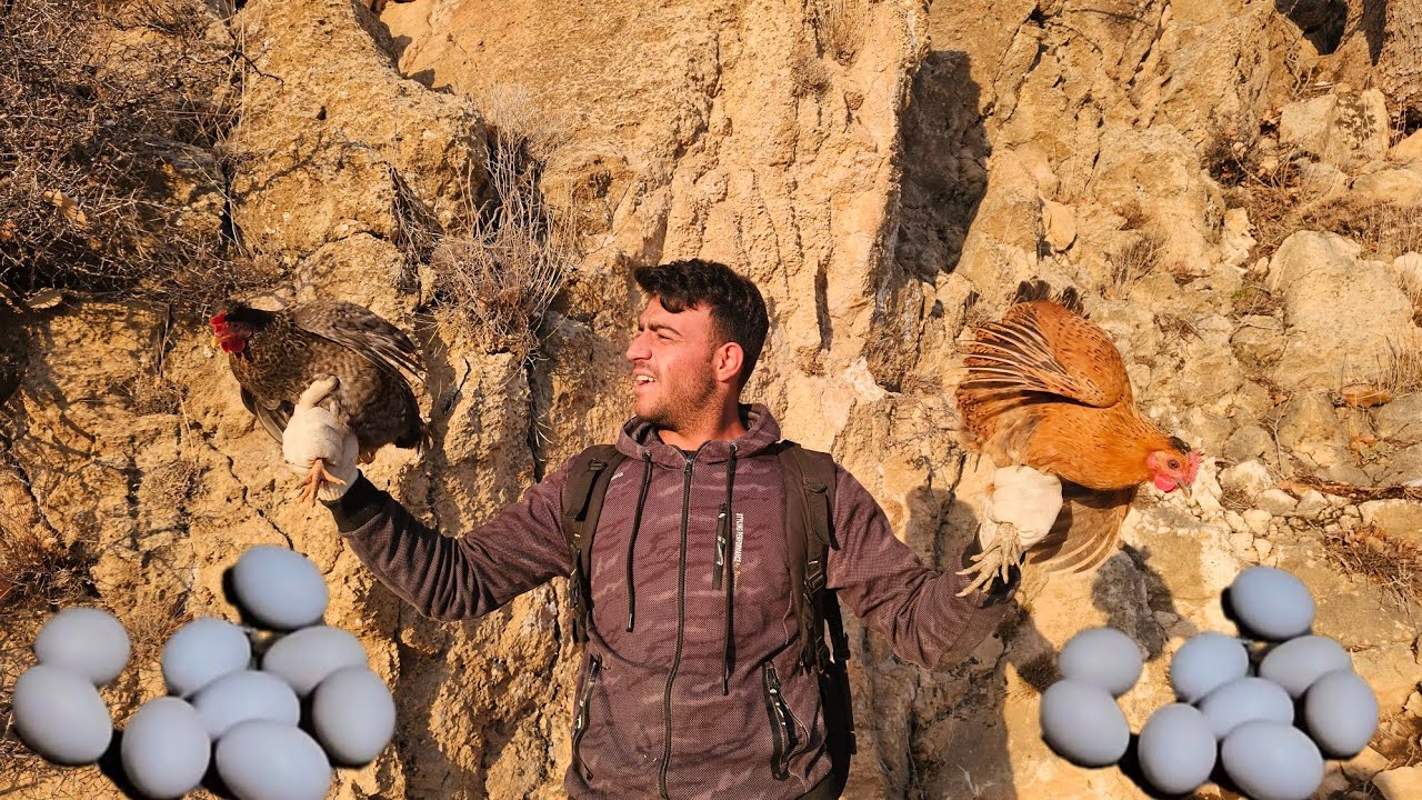 A new journey to the mountains to find herbal medicines and wonders in the mountains