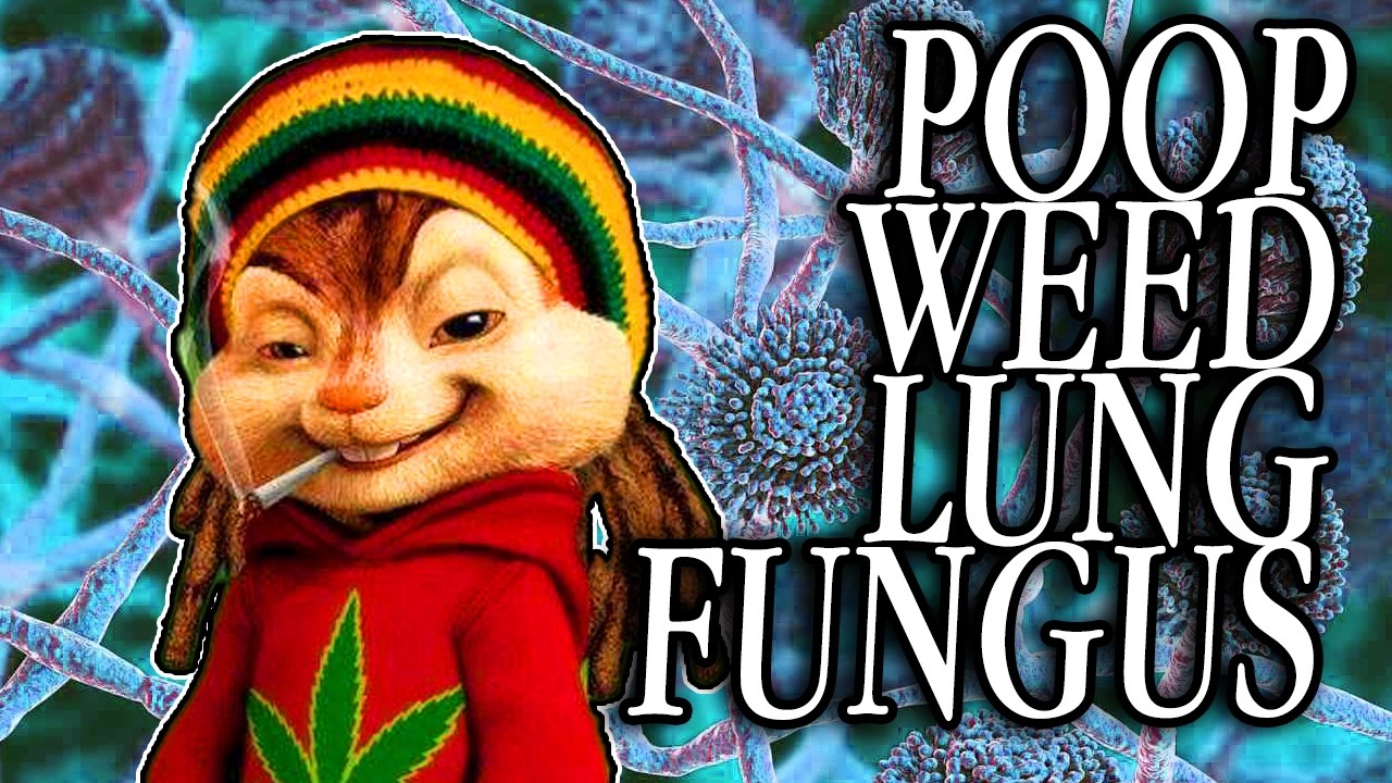 Poop Weed Lung Fungus - 1001 Ways to Die