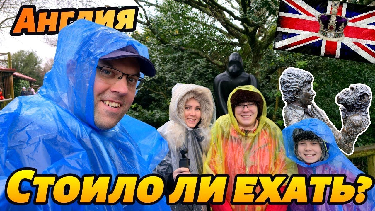 VLOG:МЫ всё-таки поехали туда… | Monkey World в Англии 🇬🇧 Находка в TESCO 💡