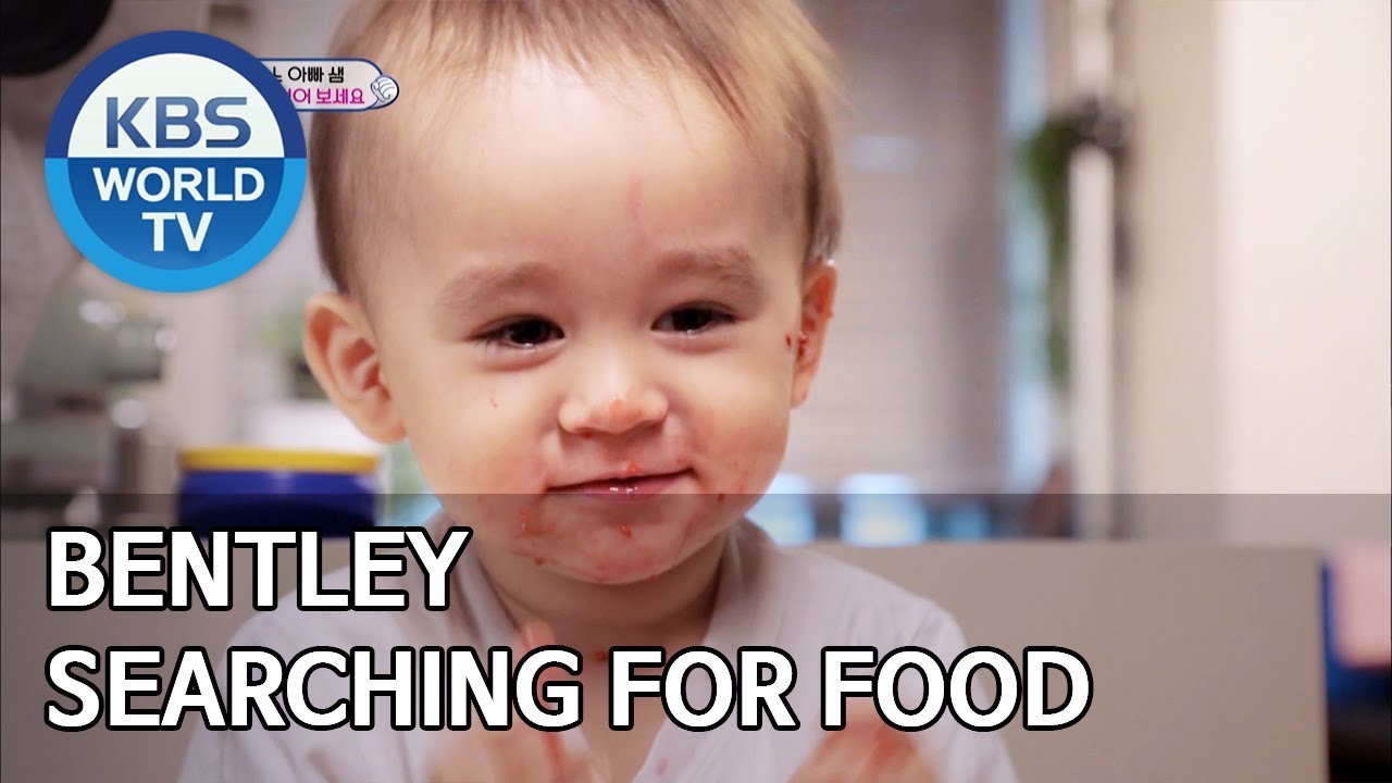 Bentley searching for food [The Return of Superman/2019.06.02]