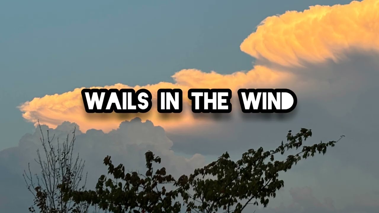 Wails In The Wind (Official Audio) (Ecopremicy)
