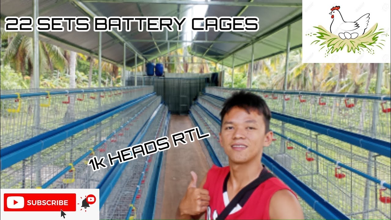 BATTERY CAGES FOR 1K HEADS RTL | POULTRY FARMING 🧺