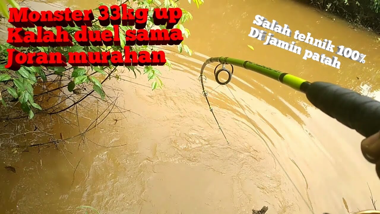Mancing dapat monster 33kg up joran hampir patah