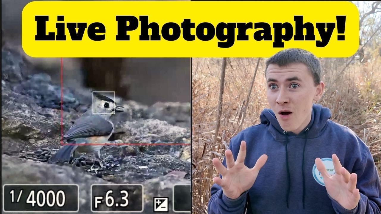 🔴 LIVE Bird Photography & Birding! Join me for Titmice, Chickadees, and More!