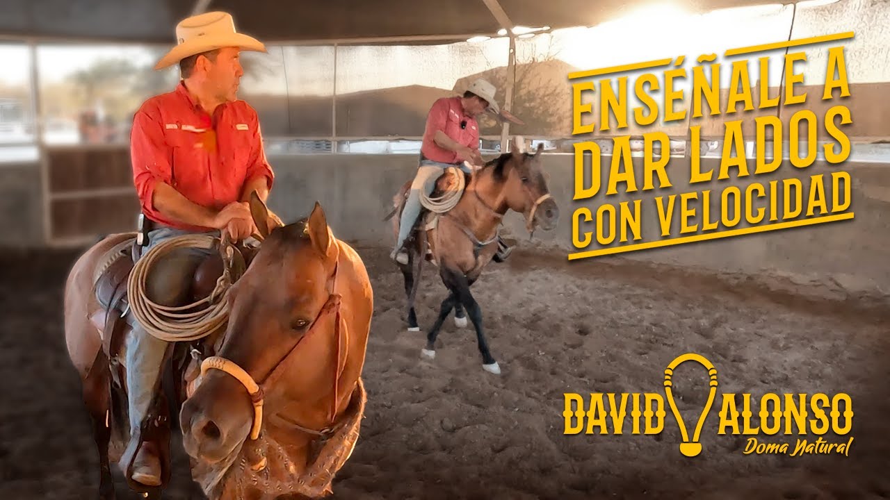 Enséñale a Dar Lados con Velocidad