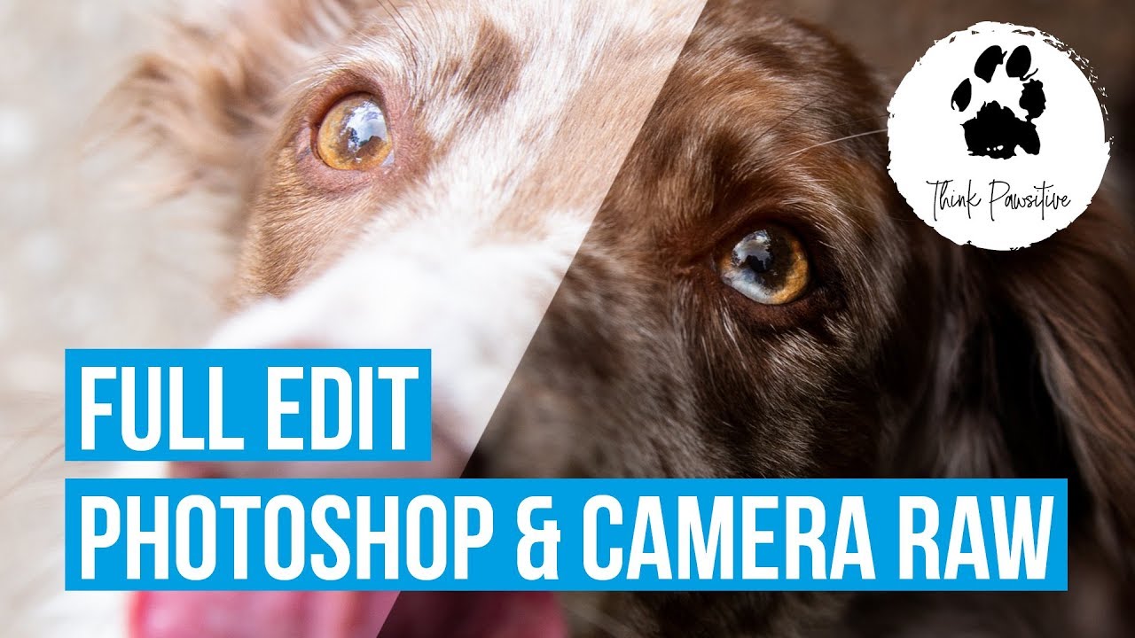 Komplette Retusche - Hunde Foto in Photoshop bearbeiten