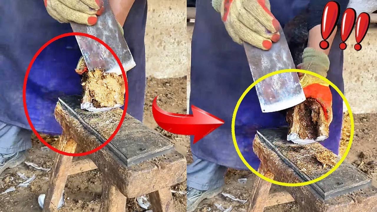Artisan trimming donkey's hooves with skillful, efficient movements.