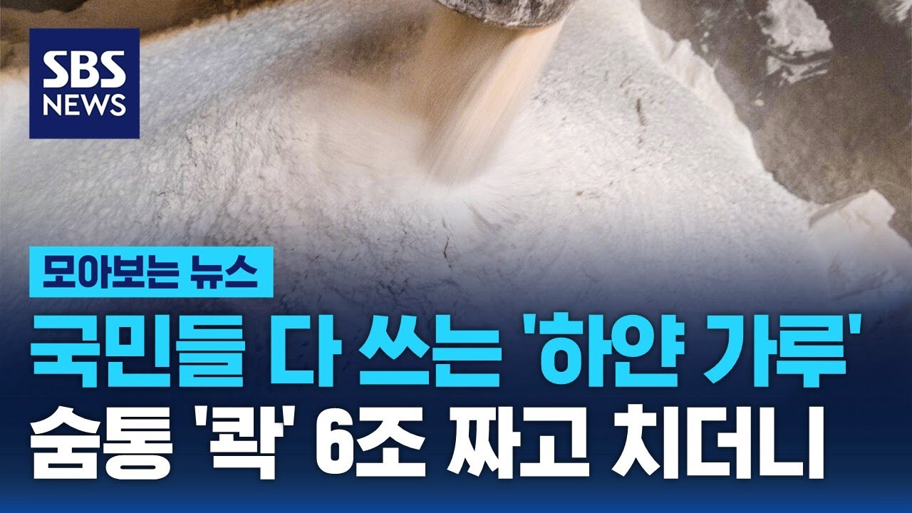 국민들 다 쓰는 '하얀 가루'…6조 해먹곤 숨통 조이더니 / SBS / 모아보는 뉴스