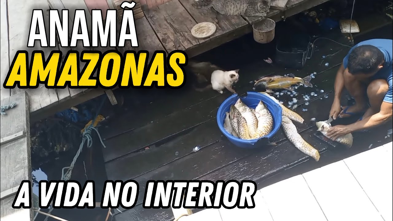COMO É A VIDA EM ANAMÃ no interior do Amazonas 
