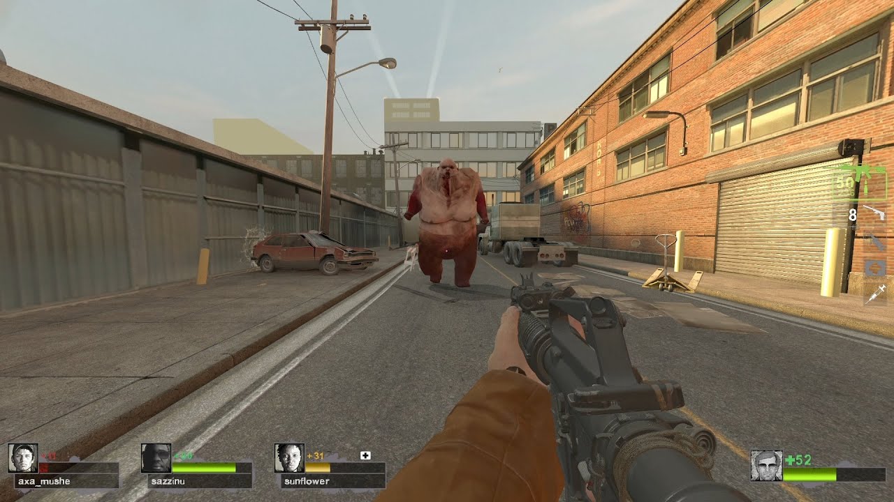 Left 4 Dead 2 Expert Gameplay XM4 BO6 Weapon Anim Mod