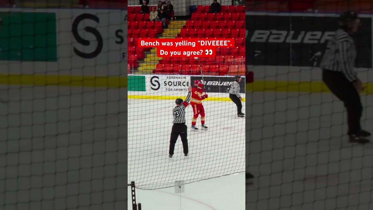 Cheap shot? 👀🏒#hockey