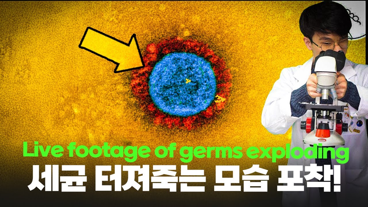 세균과 바이러스가 소독약에 실시간으로 죽는 모습 현미경 관찰!