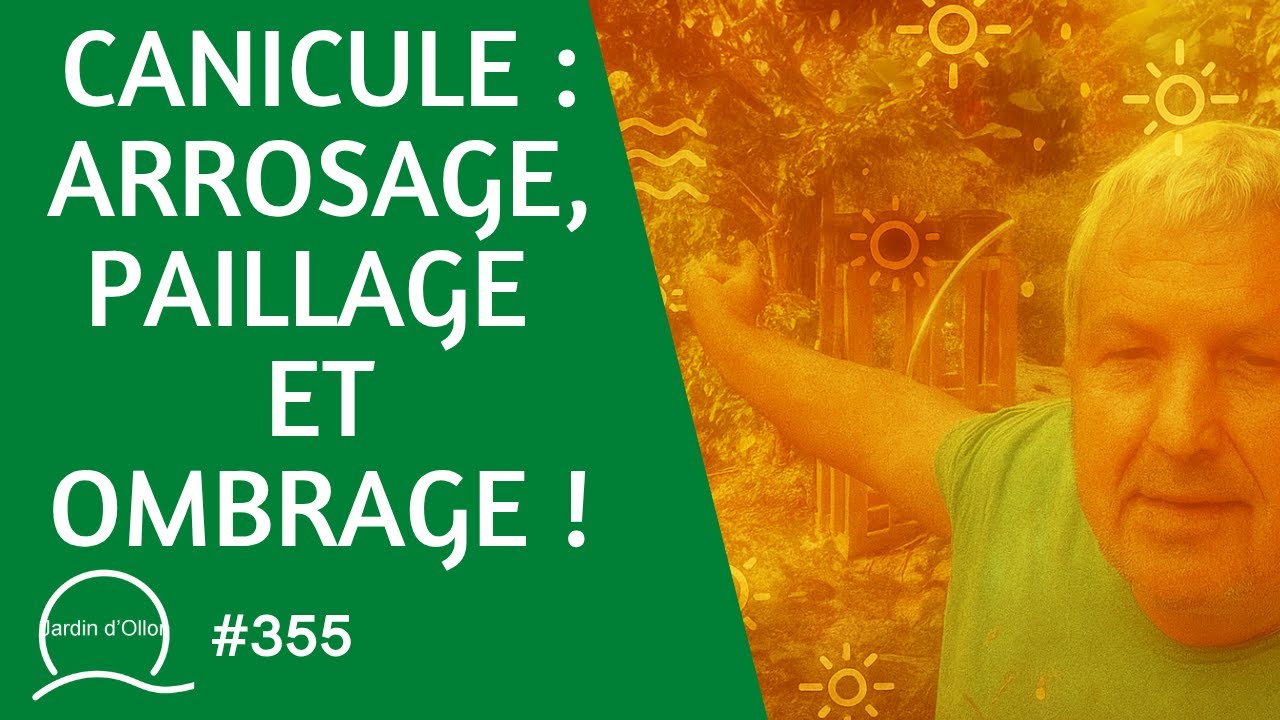 #355-CANICULE : tout sur l'arrosage,  le paillage et l'ombrage !!!