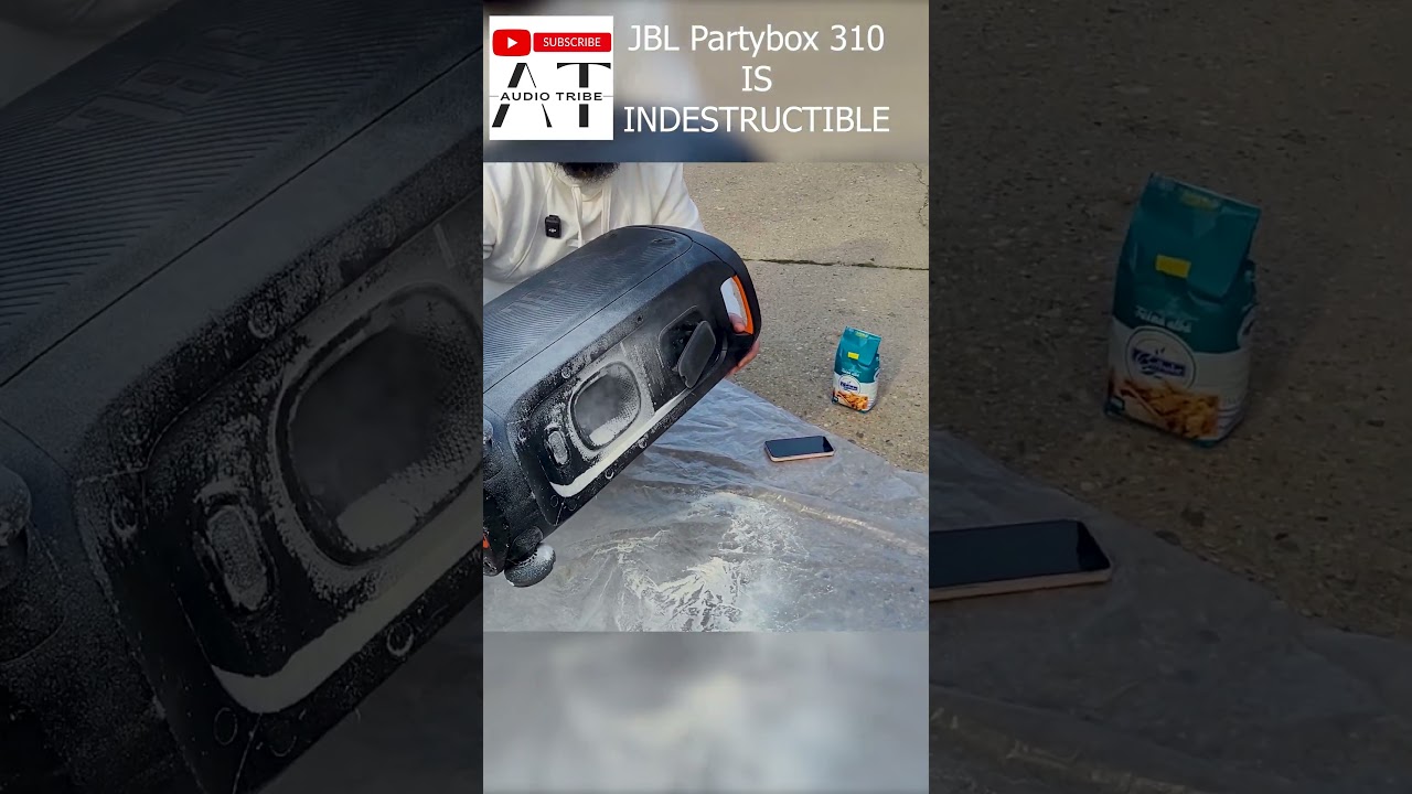 What Happens When You Put the JBL Partybox 310 to the ULTIMATE Test?