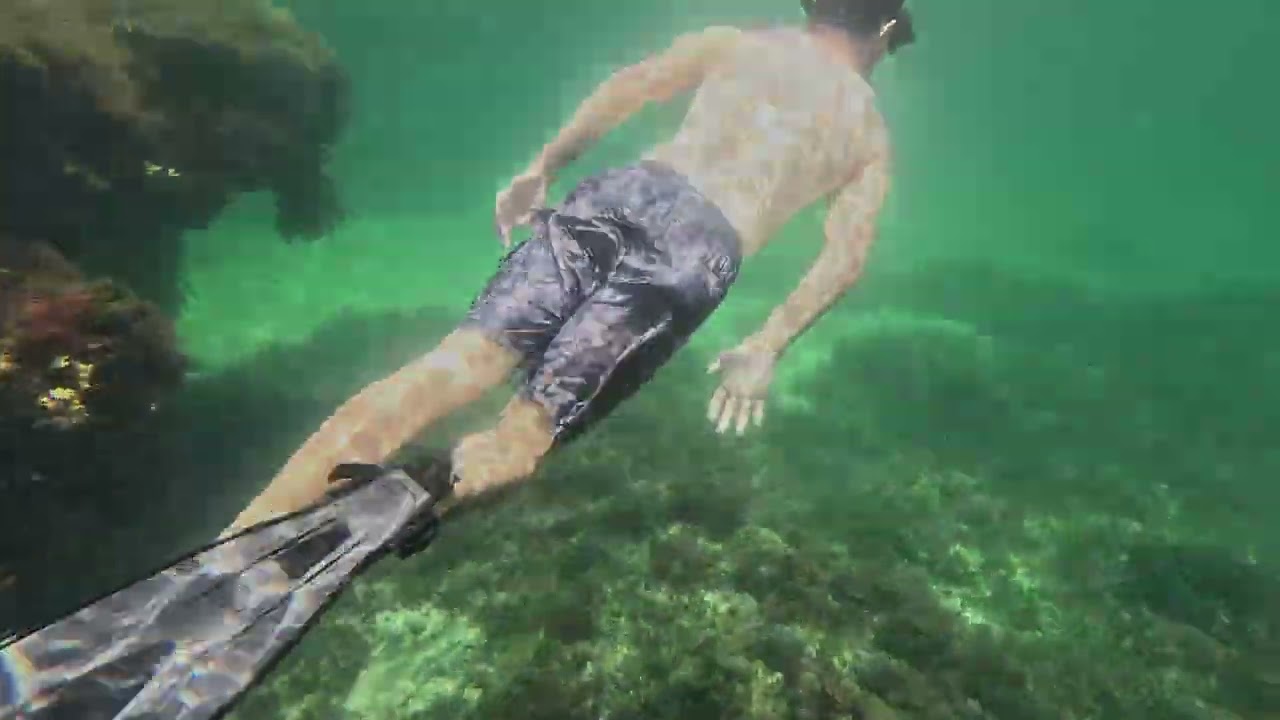 Snorkelling at Point Peron, WA  02 02 26