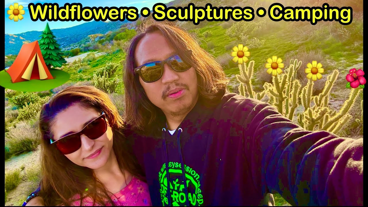 Anza-Borrego in Bloom 🌼 Wildflowers, Galleta Meadows Sculptures & Culp Valley Camping (4K)