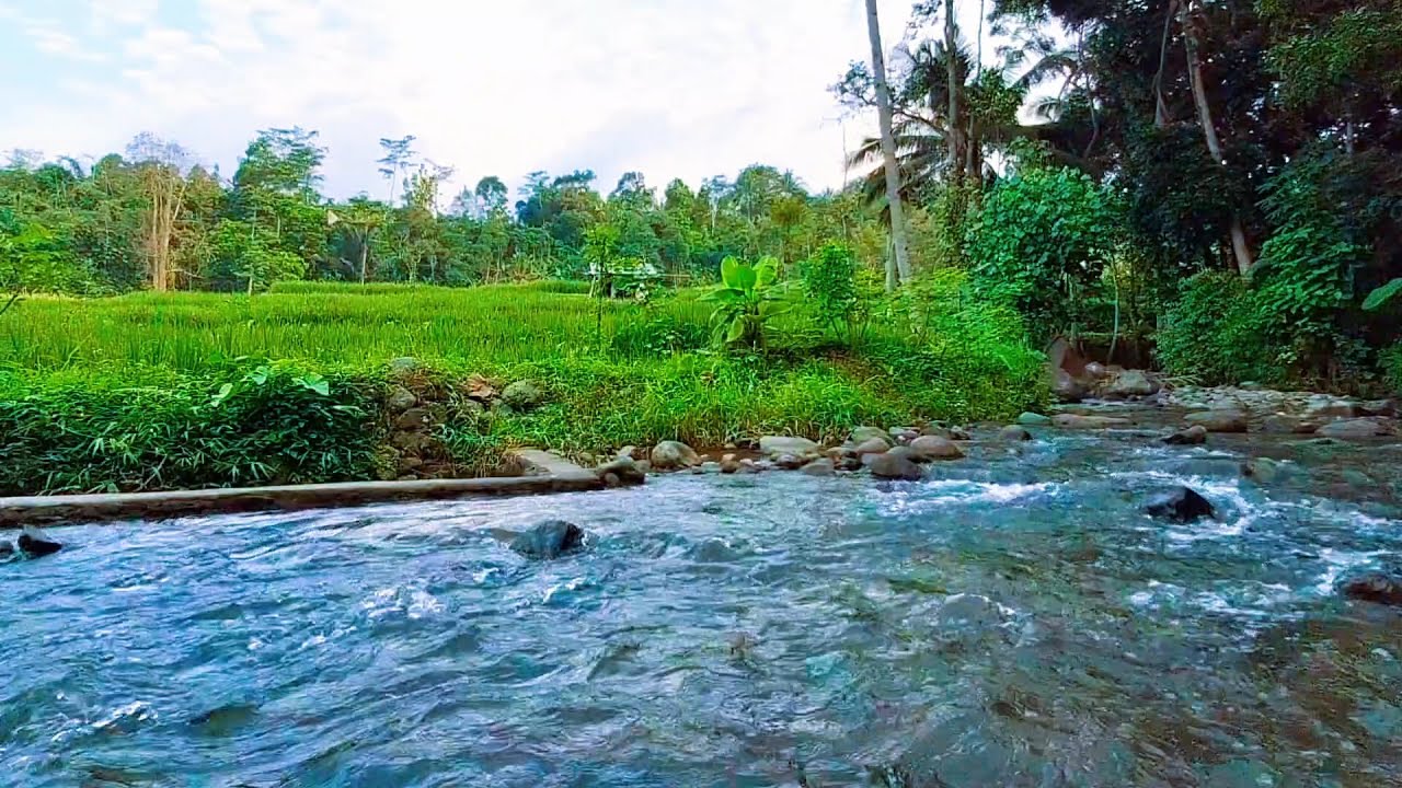 Soft River Sounds for Deep Relaxation