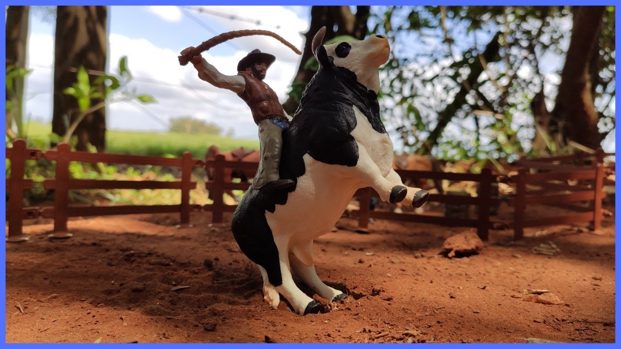 RODEIO COM OS MELHORES TOURUS #chapeudogato