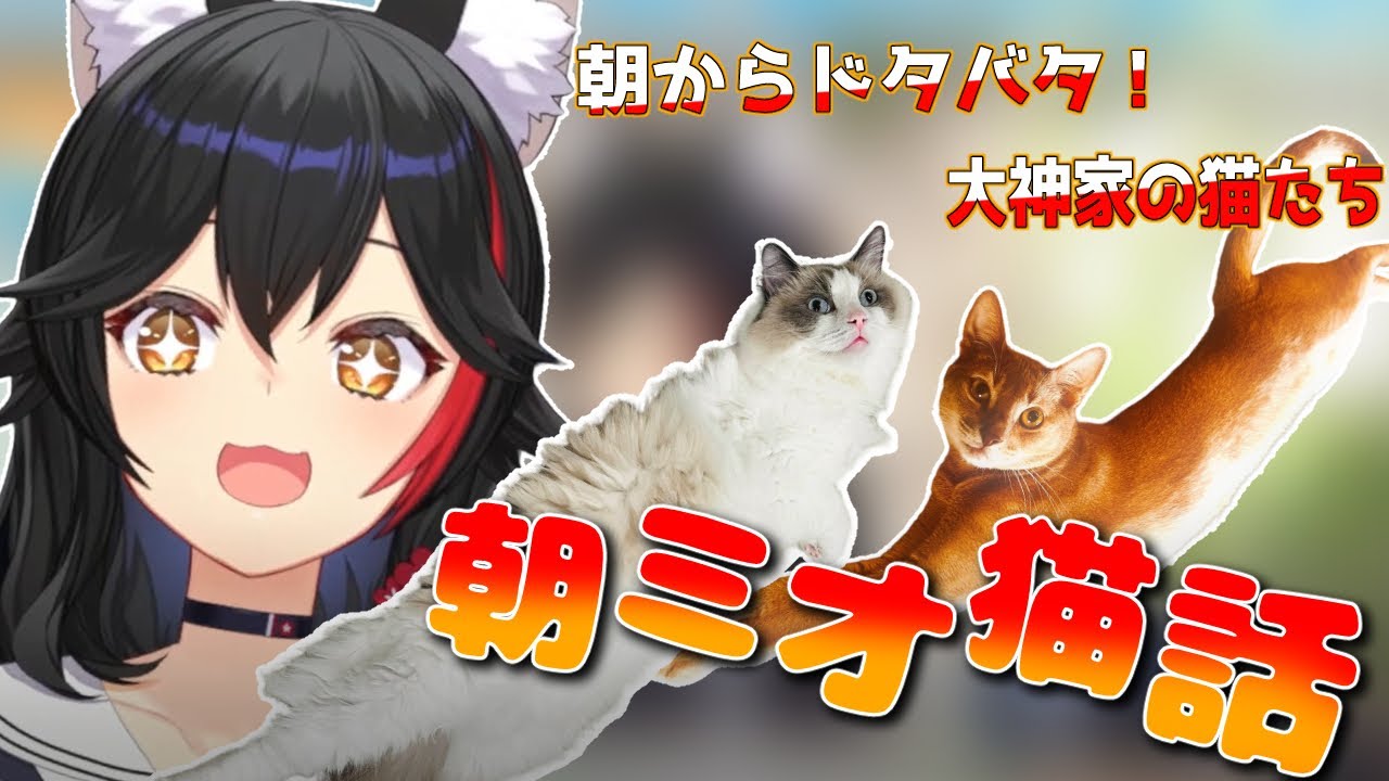 【朝ミオ】寝ポジも性格も真逆な猫たち【ホロライブ切り抜き/大神ミオ】