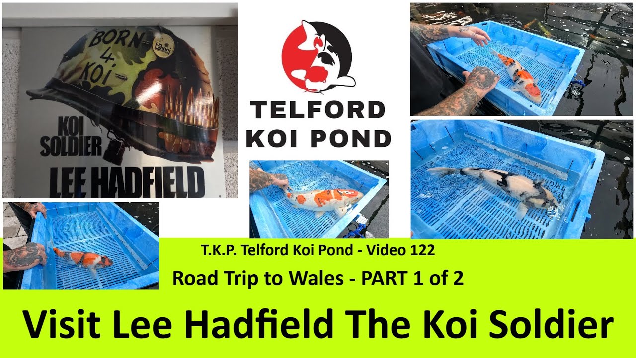 T.K.P.  Telford Koi Pond - Video 122 – Visiting Lee Hadfield - The Koi Soldier - PART 1 of 2