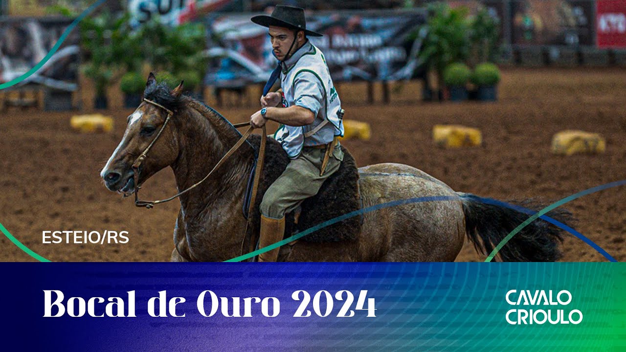 Bocal de Ouro 2024 - Andaduras, Figura, VSP, Esbarradas – Fêmeas - 18/04/2024 - Manhã