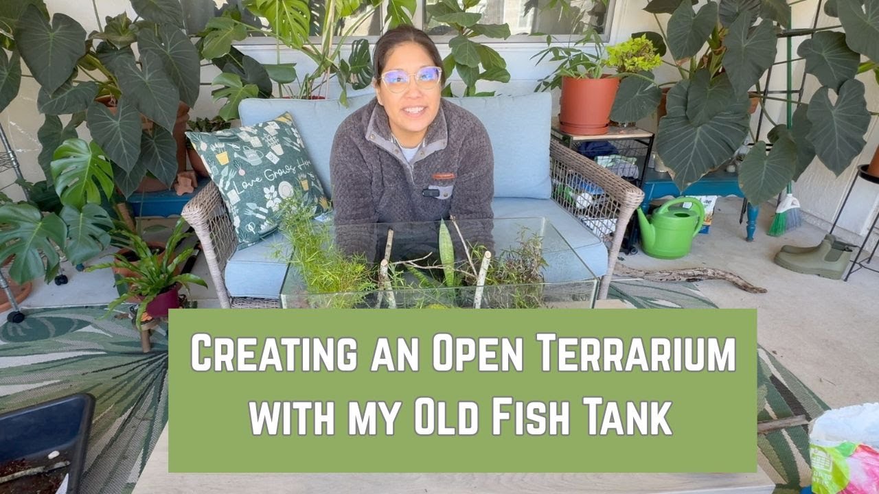 My Winter Project: Growing a Garden in a Broken Fish tank! #upcycle #floridagardening  #repurpose