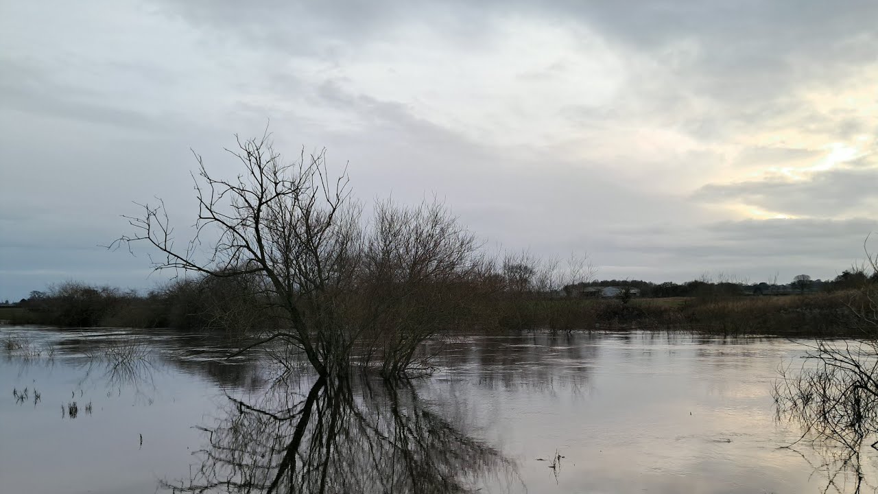 River Ure Flood, Barbel Fishing In Tough Flood Conditions.