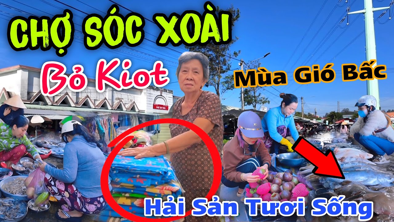 Mùa Gió Bấc Đi Chợ Sóc Xoài - Hải Sản Tươi Sống Quá Nhiều, Nhà Lồng Chợ Than Trời Trách Đất