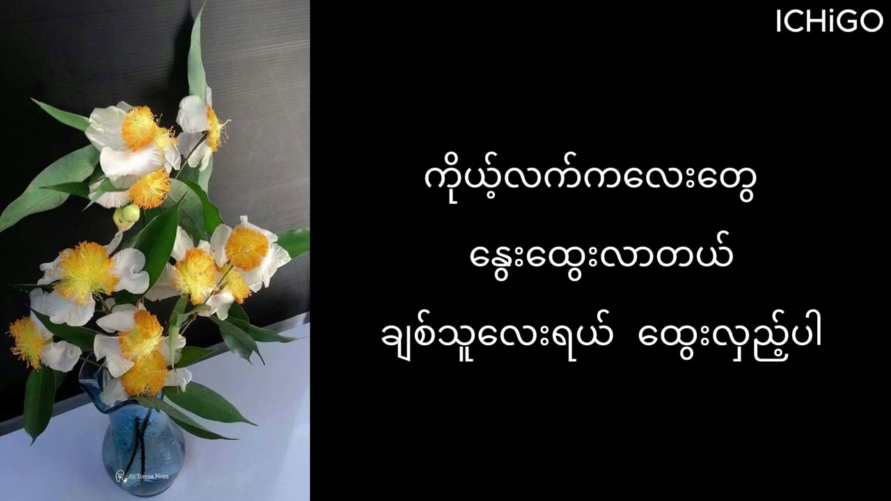 နွေဦးကံ့ကော်(Nway Oo Kant Kaw) by ထူးအိမ်သင်(Htoo Eain Thin)