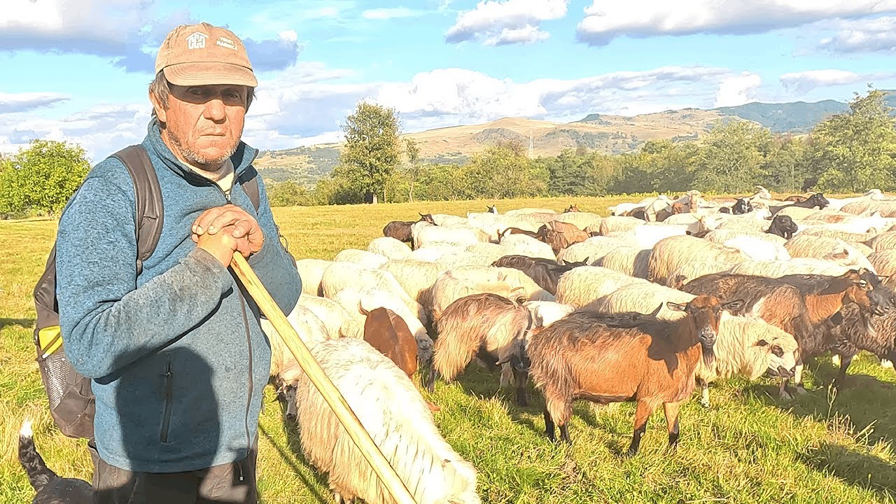 Baciul Gheorghe din comuna Budesti, judetul Maramures