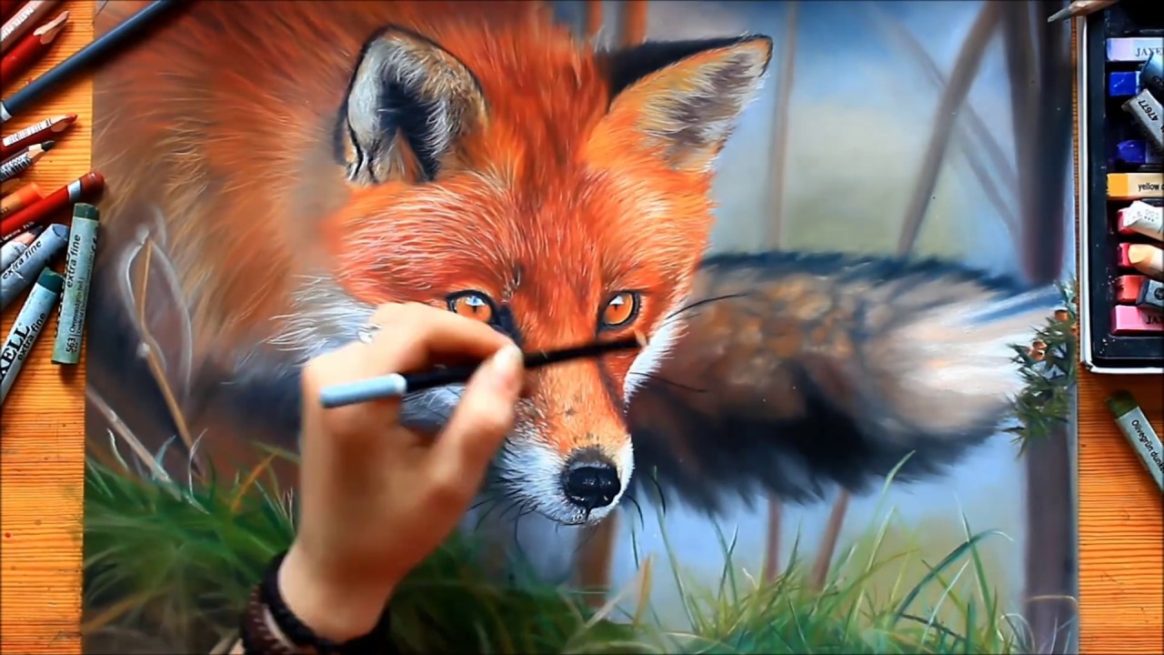 Fox Speeddrawing | Svea T. Art