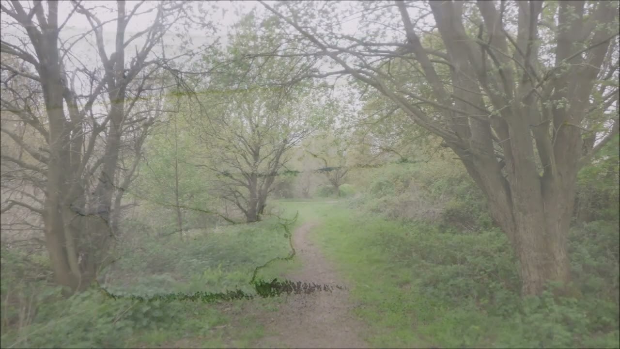Penn Common, Wolverhampton