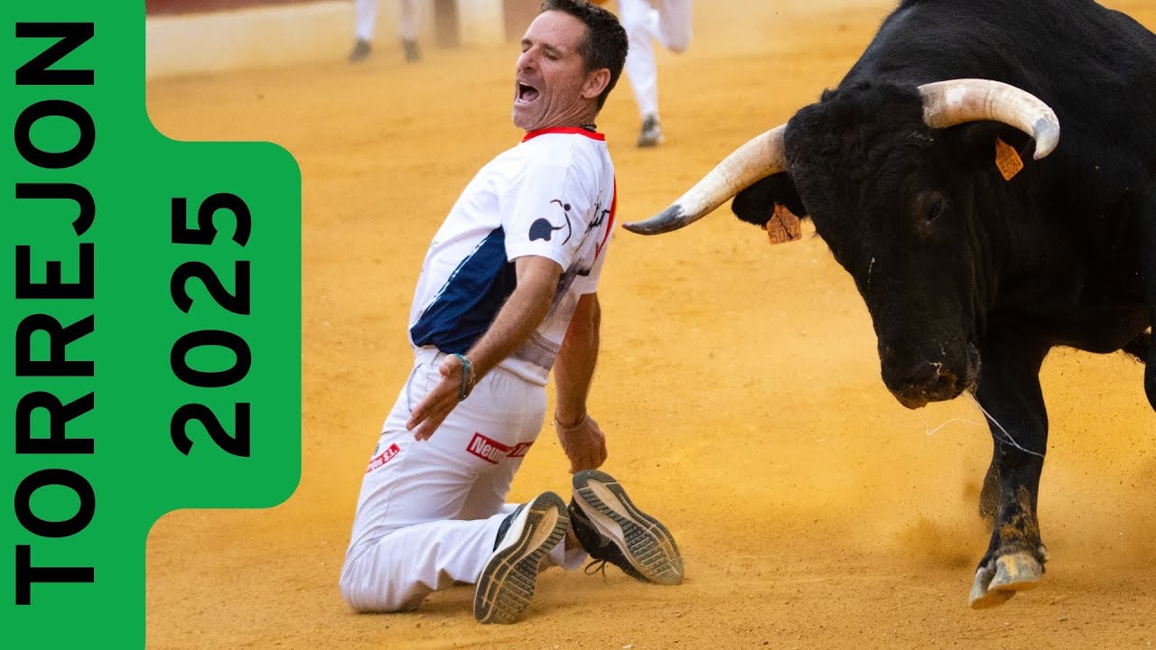 4K RECORTADORES CON TOROS BRAVOS TORREJON DE ARDOZ 2025 (MADRID)