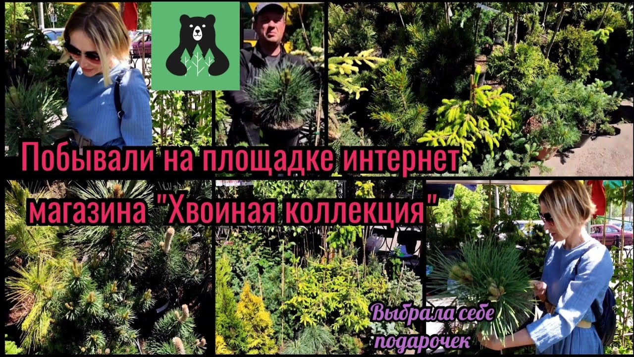 Побывали в 