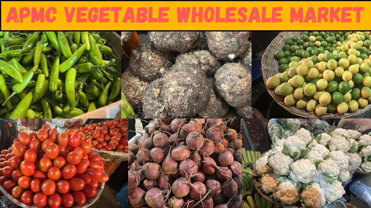 Vashi Vegetable Market Mumbai | APMC Market Vashi | Vashi Market Tomato Rate Today