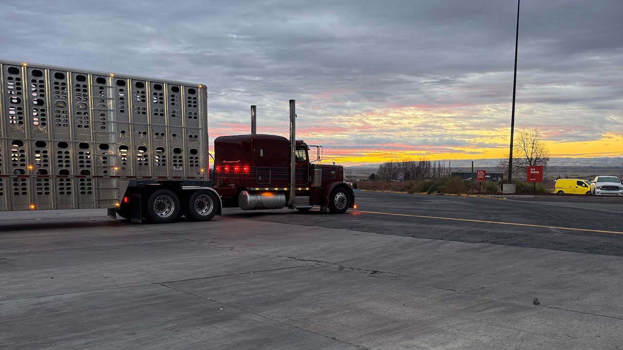 TOCO HECHAR MECANICA CON MI HERMANO  MARKITOS | #trucking 