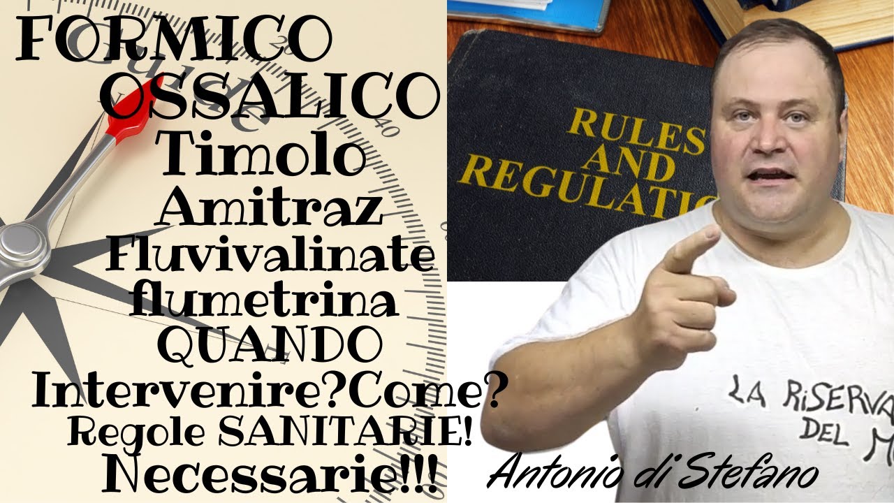Formico Ossalico Timolo Amitraz Fluvivalinate Flumetrina quando intervenire?Come?Regole Sanitarie!!!